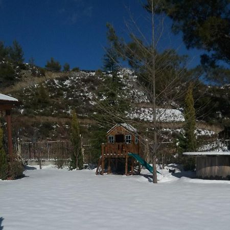 Agros Timber Log Houseヴィラ エクステリア 写真