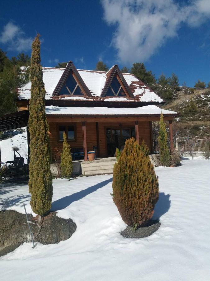 Agros Timber Log Houseヴィラ エクステリア 写真