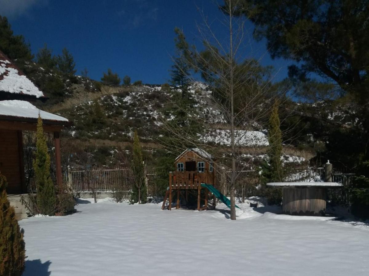 Agros Timber Log Houseヴィラ エクステリア 写真