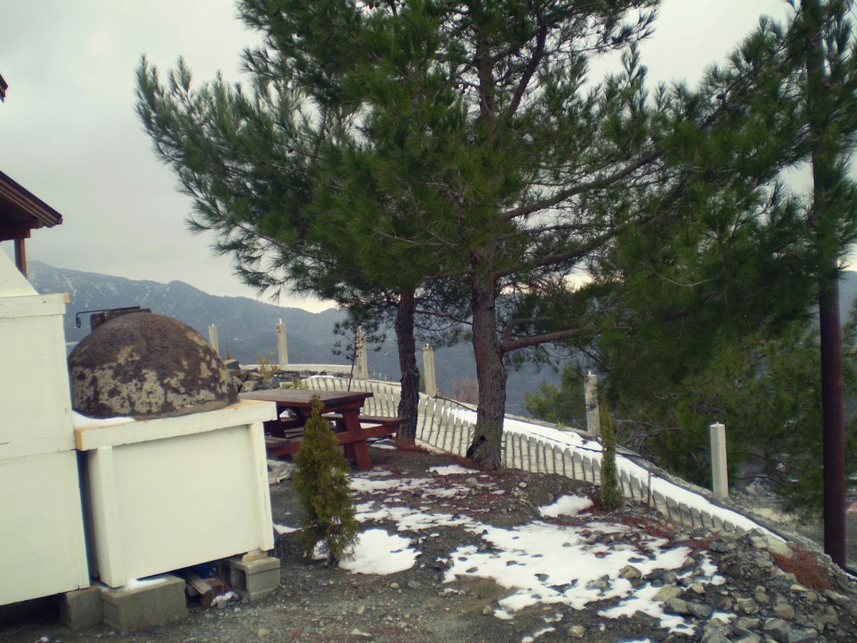 Agros Timber Log Houseヴィラ エクステリア 写真