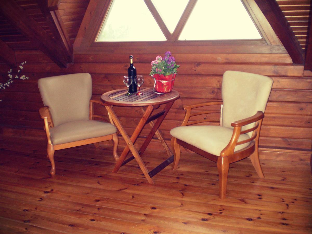 Agros Timber Log Houseヴィラ エクステリア 写真