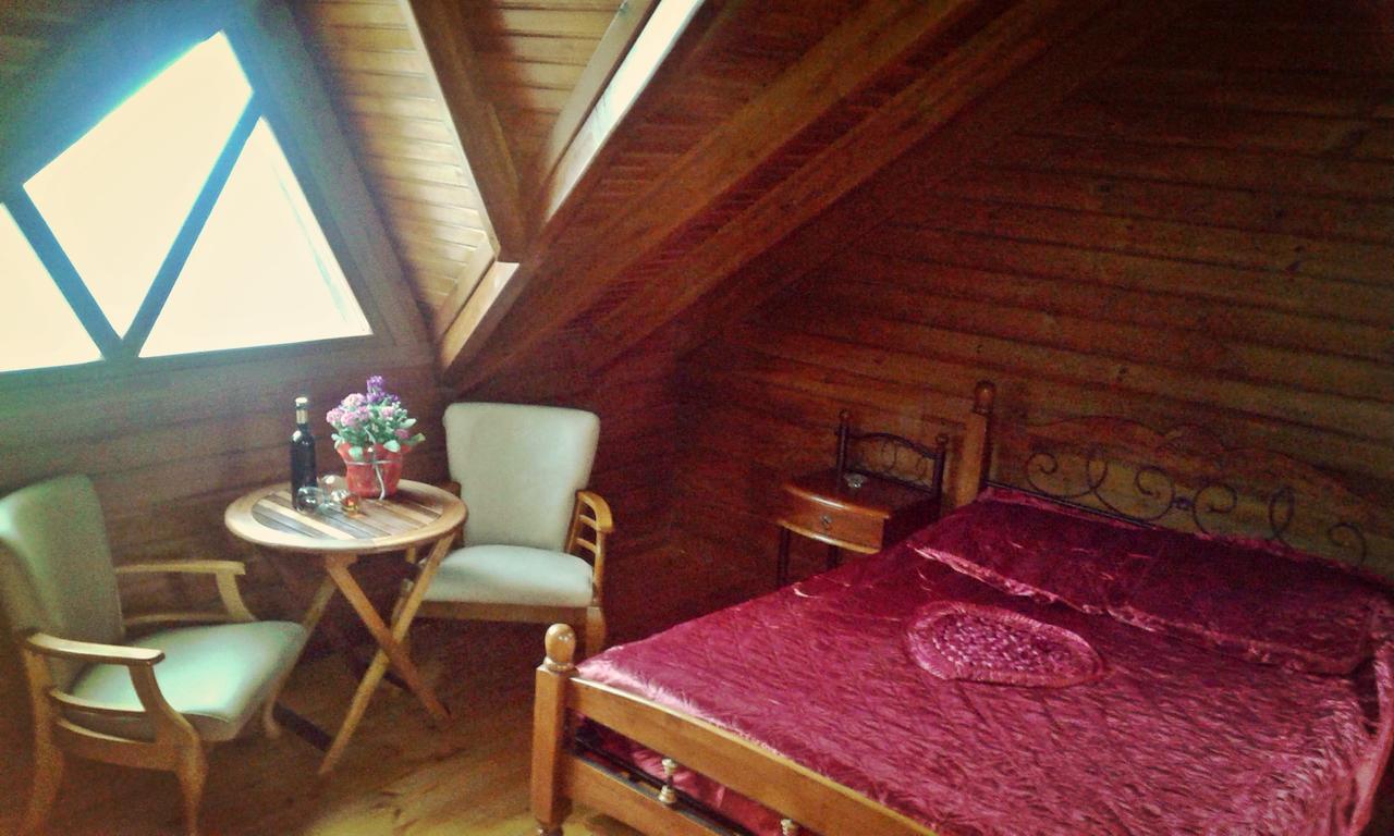 Agros Timber Log Houseヴィラ エクステリア 写真