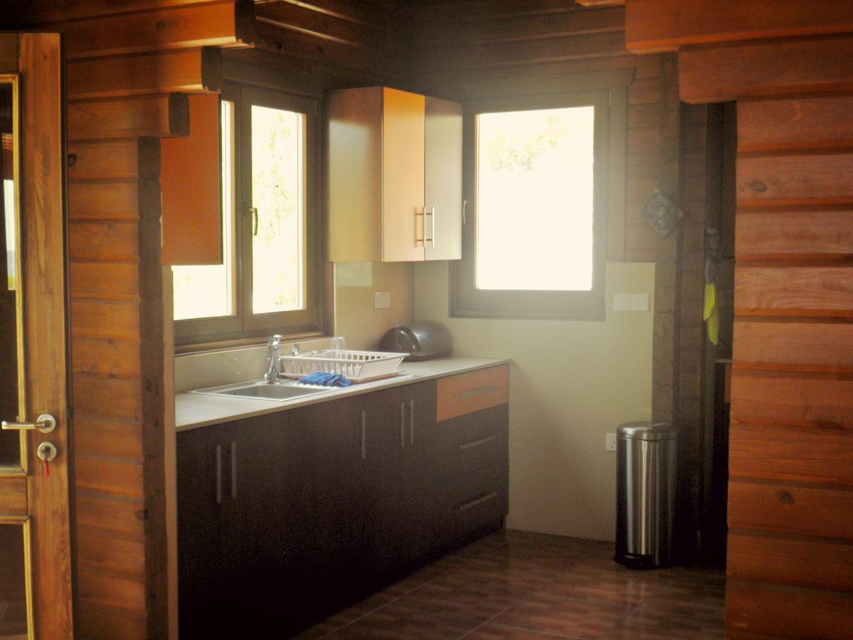 Agros Timber Log Houseヴィラ エクステリア 写真