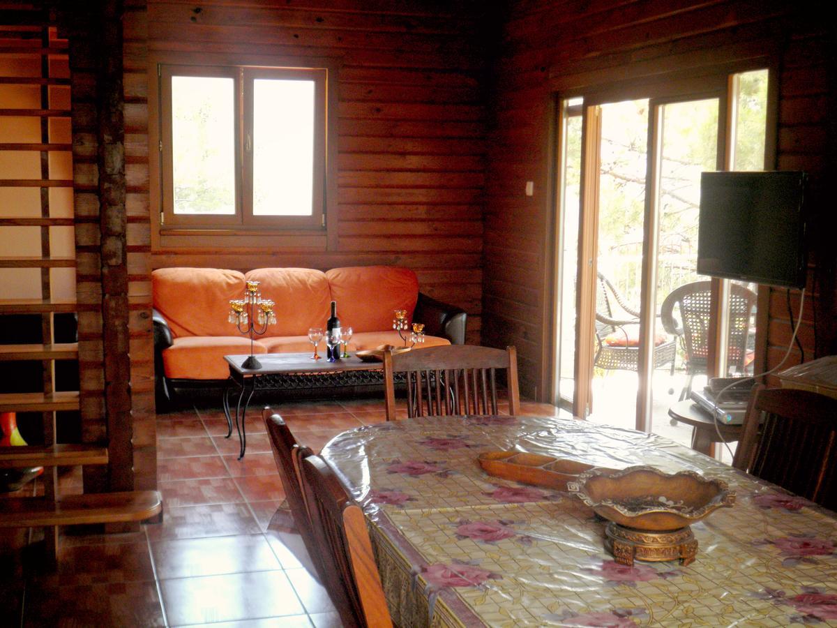 Agros Timber Log Houseヴィラ エクステリア 写真