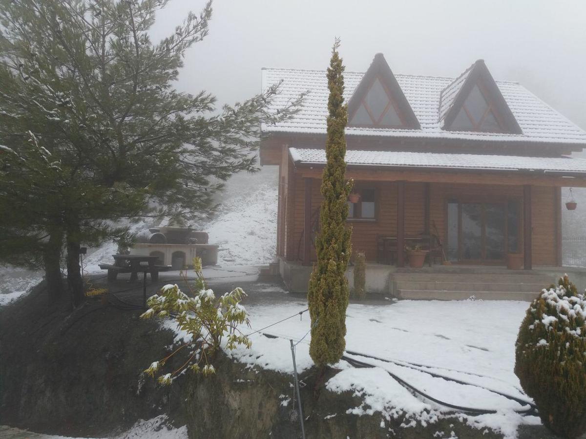 Agros Timber Log Houseヴィラ エクステリア 写真